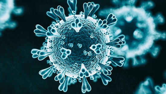 Microscopic view of a cell with an x-ray filter overlayed.