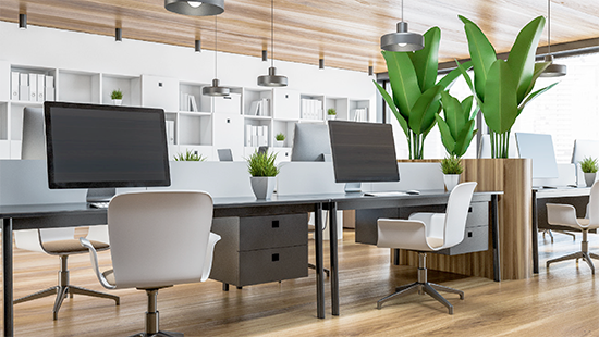 Open office with two workstations