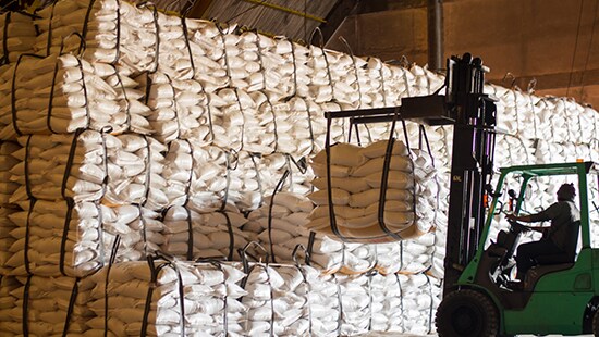 Fumigación de semillas